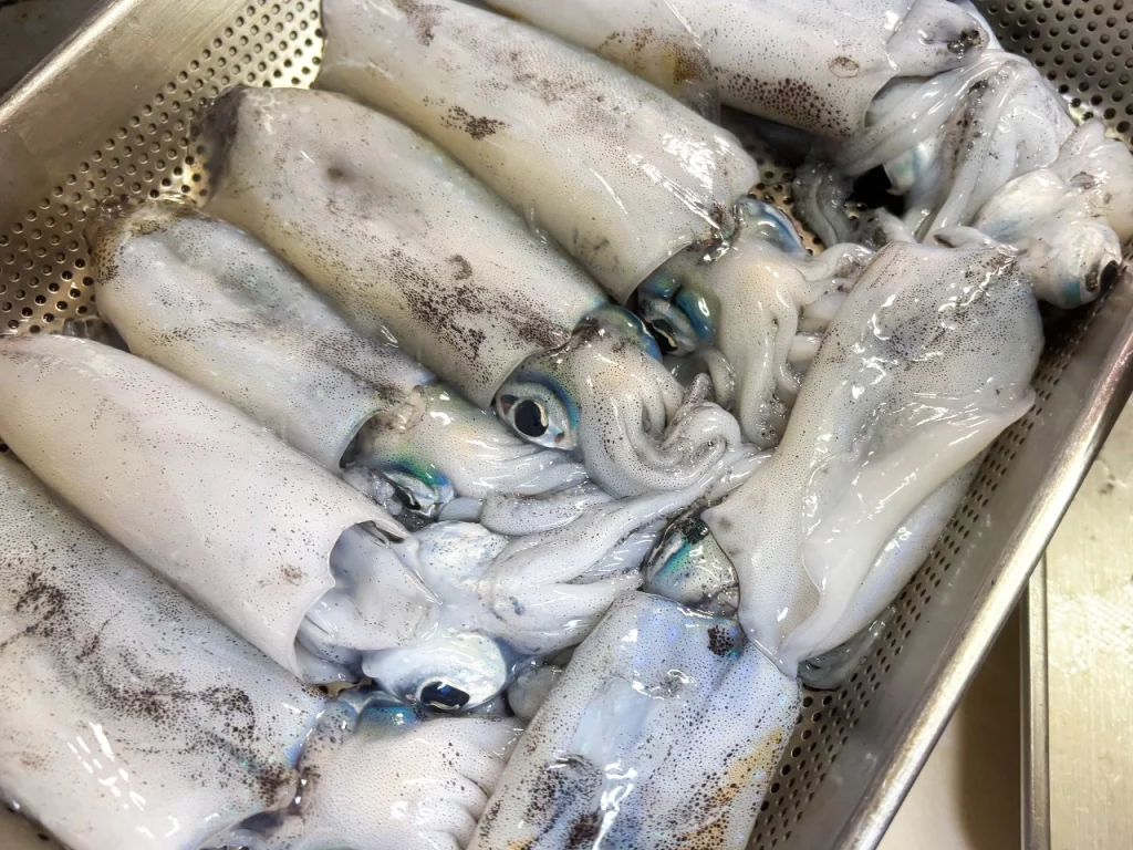 あんこ家の台所光景です。あんこもちと夫が釣ってきたアオリイカがステンレスのバットに並べられています。