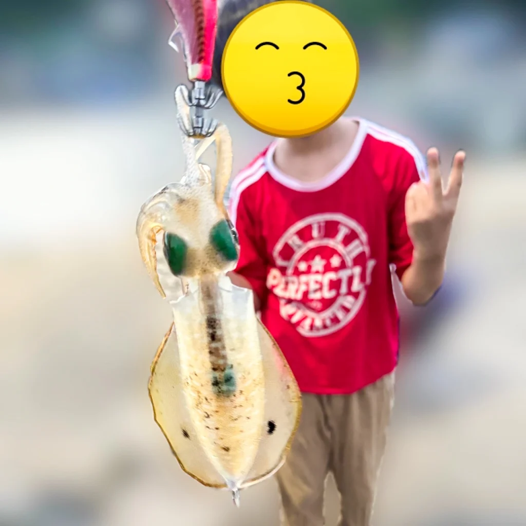 あんこもちの夫が伊根エリアの漁港で釣ったばかりのアオリイカと息子が写っている写真です。