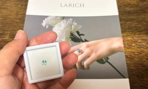 ROSWAYさんで購入させて頂いたシーフォームトルマリンと同梱のLARICHのジュエリーカタログです！